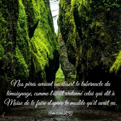 Picture 03 - Actes 7:44 LSG - Nos pères avaient au désert le tabernacle du - Bible Verse Picture