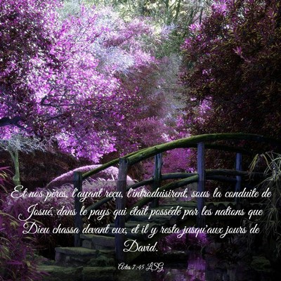 Picture 03 - Actes 7:45 LSG - Et nos pères, l'ayant reçu, l'introduisirent, - Bible Verse Picture
