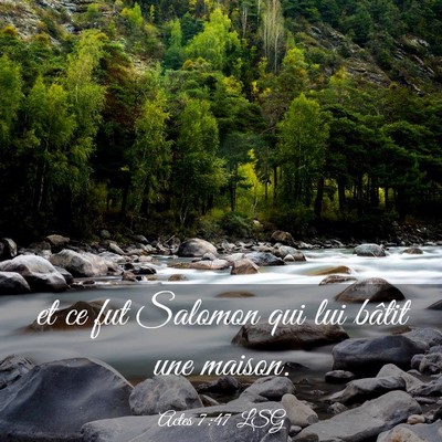 Picture 03 - Actes 7:47 LSG - et ce fut Salomon qui lui bâtit une - Bible Verse Picture