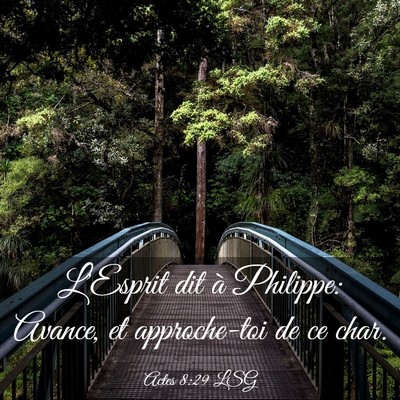 Picture 03 - Actes 8:29 LSG - L'Esprit dit à Philippe: Avance, et approche-toi - Bible Verse Picture