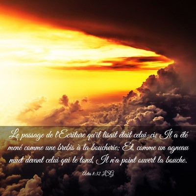 Picture 03 - Actes 8:32 LSG - Le passage de l'Ecriture qu'il lisait était - Bible Verse Picture