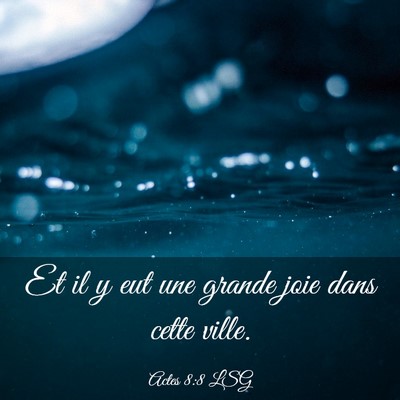 Picture 03 - Actes 8:8 LSG - Et il y eut une grande joie dans cette - Bible Verse Picture