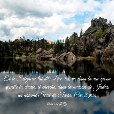 Picture 03 - Actes 9:11 LSG - Et le Seigneur lui dit: Lève-toi, va dans la rue - Bible Verse Picture