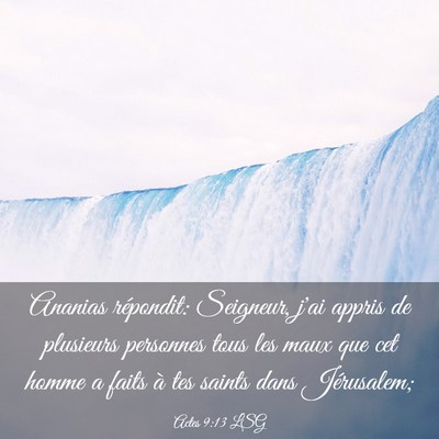 Picture 03 - Actes 9:13 LSG - Ananias répondit: Seigneur, j'ai appris de - Bible Verse Picture