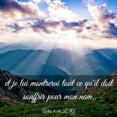 Picture 03 - Actes 9:16 LSG - et je lui montrerai tout ce qu'il doit souffrir - Bible Verse Picture