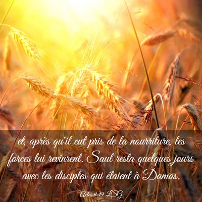 Picture 03 - Actes 9:19 LSG - et, après qu'il eut pris de la nourriture, les - Bible Verse Picture