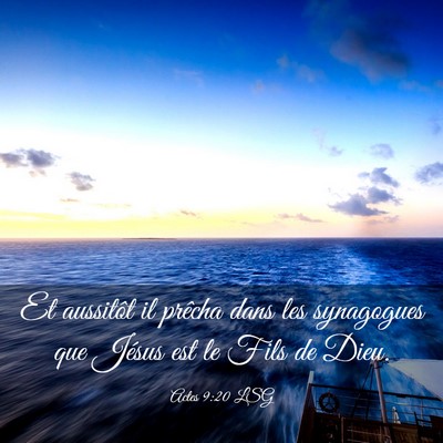 Picture 03 - Actes 9:20 LSG - Et aussitôt il prêcha dans les synagogues que - Bible Verse Picture