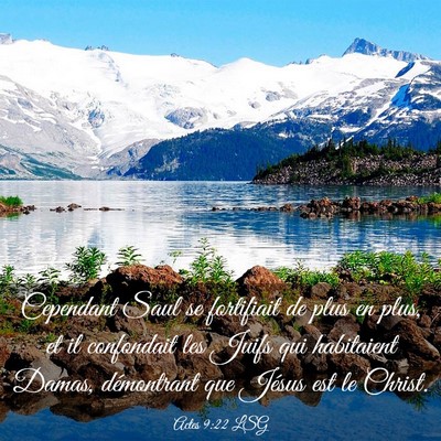 Picture 03 - Actes 9:22 LSG - Cependant Saul se fortifiait de plus en plus, et - Bible Verse Picture