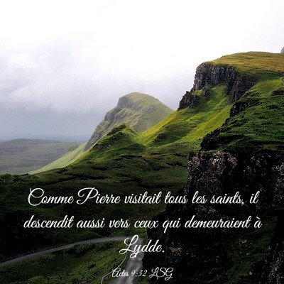Picture 03 - Actes 9:32 LSG - Comme Pierre visitait tous les saints, il - Bible Verse Picture
