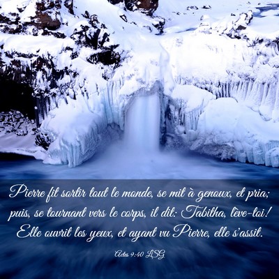 Picture 03 - Actes 9:40 LSG - Pierre fit sortir tout le monde, se mit à - Bible Verse Picture