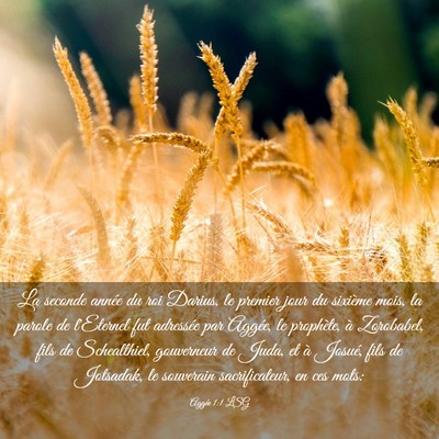 Picture 03 - Aggée 1:1 LSG - La seconde année du roi Darius, le premier jour - Bible Verse Picture