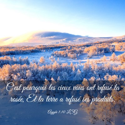 Picture 03 - Aggée 1:10 LSG - C'est pourquoi les cieux vous ont refusé la - Bible Verse Picture