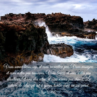 Picture 03 - Aggée 1:6 LSG - Vous semez beaucoup, et vous recueillez peu, Vous - Bible Verse Picture