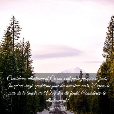 Picture 03 - Aggée 2:18 LSG - Considérez attentivement Ce qui s'est passé - Bible Verse Picture