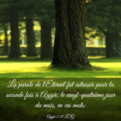 Picture 03 - Aggée 2:20 LSG - La parole de l'Eternel fut adressée pour la - Bible Verse Picture
