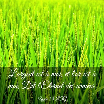 Picture 03 - Aggée 2:8 LSG - L'argent est à moi, et l'or est à moi, Dit - Bible Verse Picture