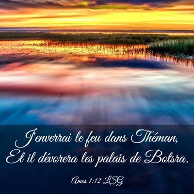 Picture 03 - Amos 1:12 LSG - J'enverrai le feu dans Théman, Et il dévorera - Bible Verse Picture