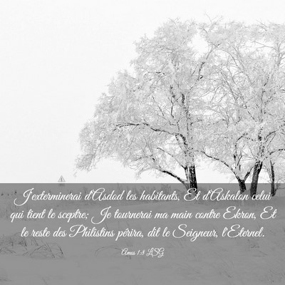 Picture 03 - Amos 1:8 LSG - J'exterminerai d'Asdod les habitants, Et - Bible Verse Picture