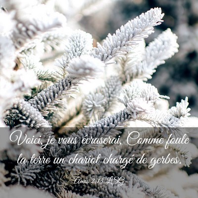 Picture 03 - Amos 2:13 LSG - Voici, je vous écraserai, Comme foule la terre - Bible Verse Picture