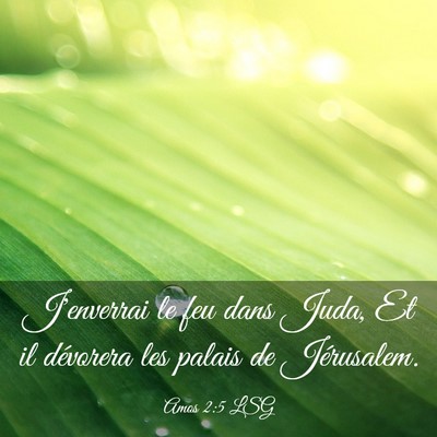Picture 03 - Amos 2:5 LSG - J'enverrai le feu dans Juda, Et il dévorera les - Bible Verse Picture