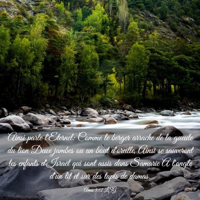 Picture 03 - Amos 3:12 LSG - Ainsi parle l'Eternel: Comme le berger arrache de - Bible Verse Picture