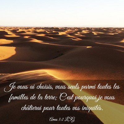 Picture 03 - Amos 3:2 LSG - Je vous ai choisis, vous seuls parmi toutes les - Bible Verse Picture