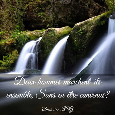Picture 03 - Amos 3:3 LSG - Deux hommes marchent-ils ensemble, Sans en être - Bible Verse Picture