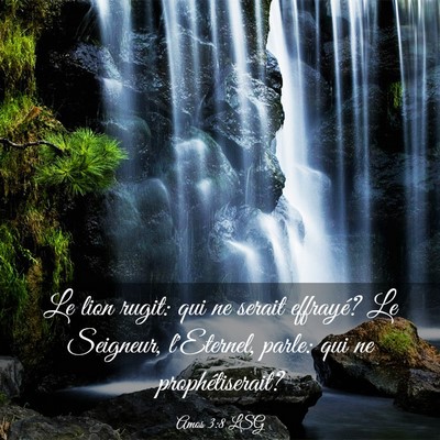 Picture 03 - Amos 3:8 LSG - Le lion rugit: qui ne serait effrayé? Le - Bible Verse Picture