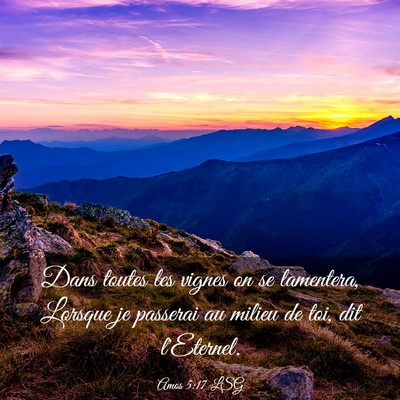 Picture 03 - Amos 5:17 LSG - Dans toutes les vignes on se lamentera, Lorsque - Bible Verse Picture