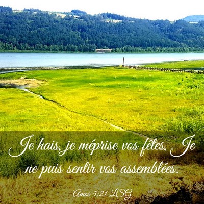 Picture 03 - Amos 5:21 LSG - Je hais, je méprise vos fêtes, Je ne puis - Bible Verse Picture