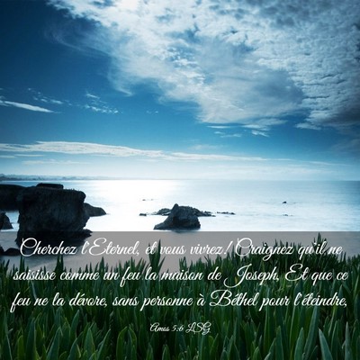 Picture 03 - Amos 5:6 LSG - Cherchez l'Eternel, et vous vivrez! Craignez - Bible Verse Picture