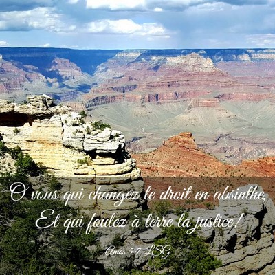 Picture 03 - Amos 5:7 LSG - O vous qui changez le droit en absinthe, Et qui - Bible Verse Picture