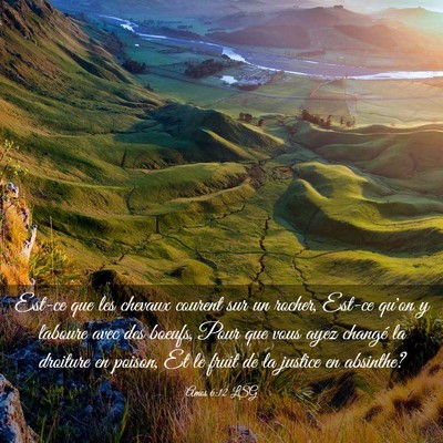 Picture 03 - Amos 6:12 LSG - Est-ce que les chevaux courent sur un rocher, - Bible Verse Picture