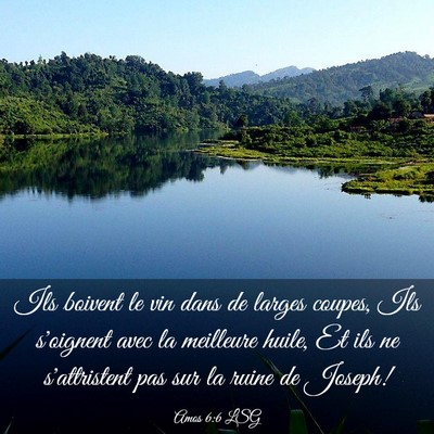 Picture 03 - Amos 6:6 LSG - Ils boivent le vin dans de larges coupes, Ils - Bible Verse Picture