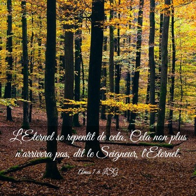 Picture 03 - Amos 7:6 LSG - L'Eternel se repentit de cela. Cela non plus - Bible Verse Picture