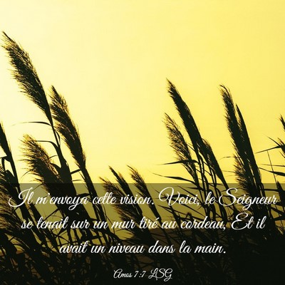 Picture 03 - Amos 7:7 LSG - Il m'envoya cette vision. Voici, le Seigneur se - Bible Verse Picture