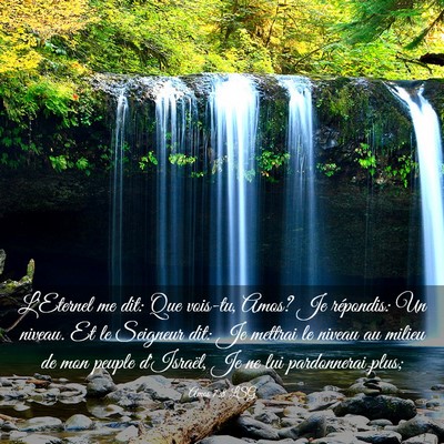 Picture 03 - Amos 7:8 LSG - L'Eternel me dit: Que vois-tu, Amos? Je - Bible Verse Picture