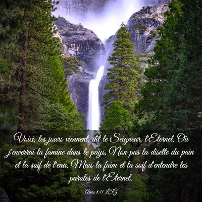 Picture 03 - Amos 8:11 LSG - Voici, les jours viennent, dit le Seigneur, - Bible Verse Picture