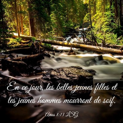 Picture 03 - Amos 8:13 LSG - En ce jour, les belles jeunes filles et les - Bible Verse Picture