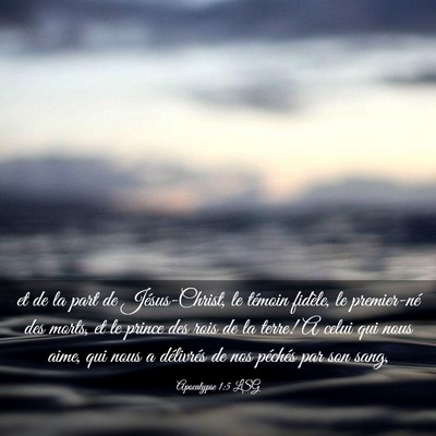 Picture 03 - Apocalypse 1:5 LSG - et de la part de Jésus-Christ, le témoin - Bible Verse Picture