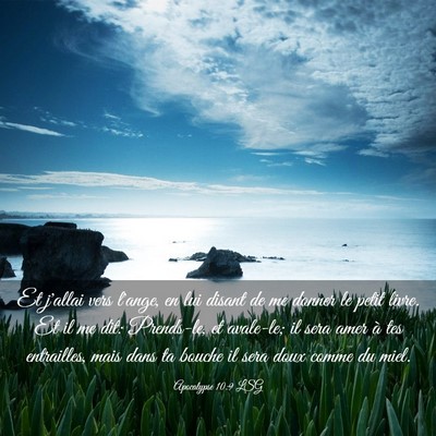 Picture 03 - Apocalypse 10:9 LSG - Et j'allai vers l'ange, en lui disant de me - Bible Verse Picture