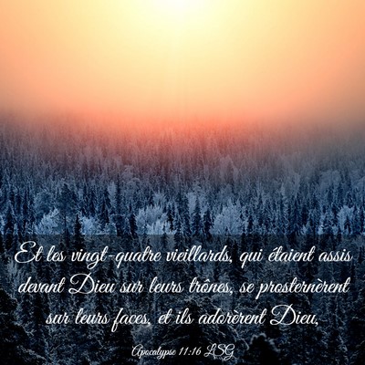 Picture 03 - Apocalypse 11:16 LSG - Et les vingt-quatre vieillards, qui étaient - Bible Verse Picture