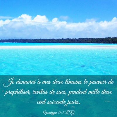 Picture 03 - Apocalypse 11:3 LSG - Je donnerai à mes deux témoins le pouvoir de - Bible Verse Picture