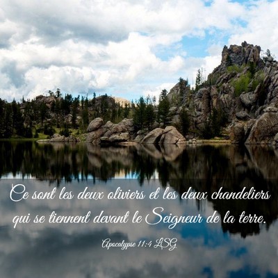Picture 03 - Apocalypse 11:4 LSG - Ce sont les deux oliviers et les deux chandeliers - Bible Verse Picture