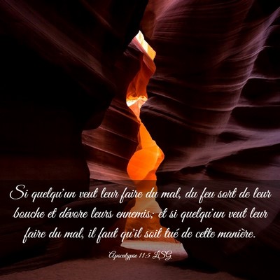 Picture 03 - Apocalypse 11:5 LSG - Si quelqu'un veut leur faire du mal, du feu sort - Bible Verse Picture