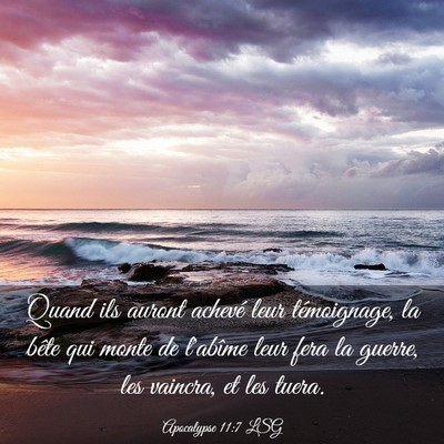 Picture 03 - Apocalypse 11:7 LSG - Quand ils auront achevé leur témoignage, la - Bible Verse Picture