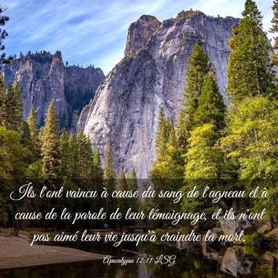 Picture 03 - Apocalypse 12:11 LSG - Ils l'ont vaincu à cause du sang de l'agneau et - Bible Verse Picture