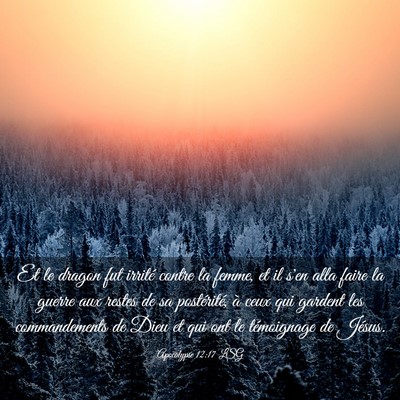 Picture 03 - Apocalypse 12:17 LSG - Et le dragon fut irrité contre la femme, et il - Bible Verse Picture