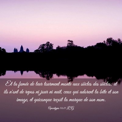 Picture 03 - Apocalypse 14:11 LSG - Et la fumée de leur tourment monte aux siècles - Bible Verse Picture