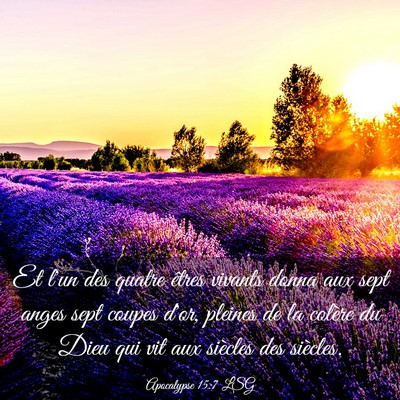 Picture 03 - Apocalypse 15:7 LSG - Et l'un des quatre êtres vivants donna aux sept - Bible Verse Picture